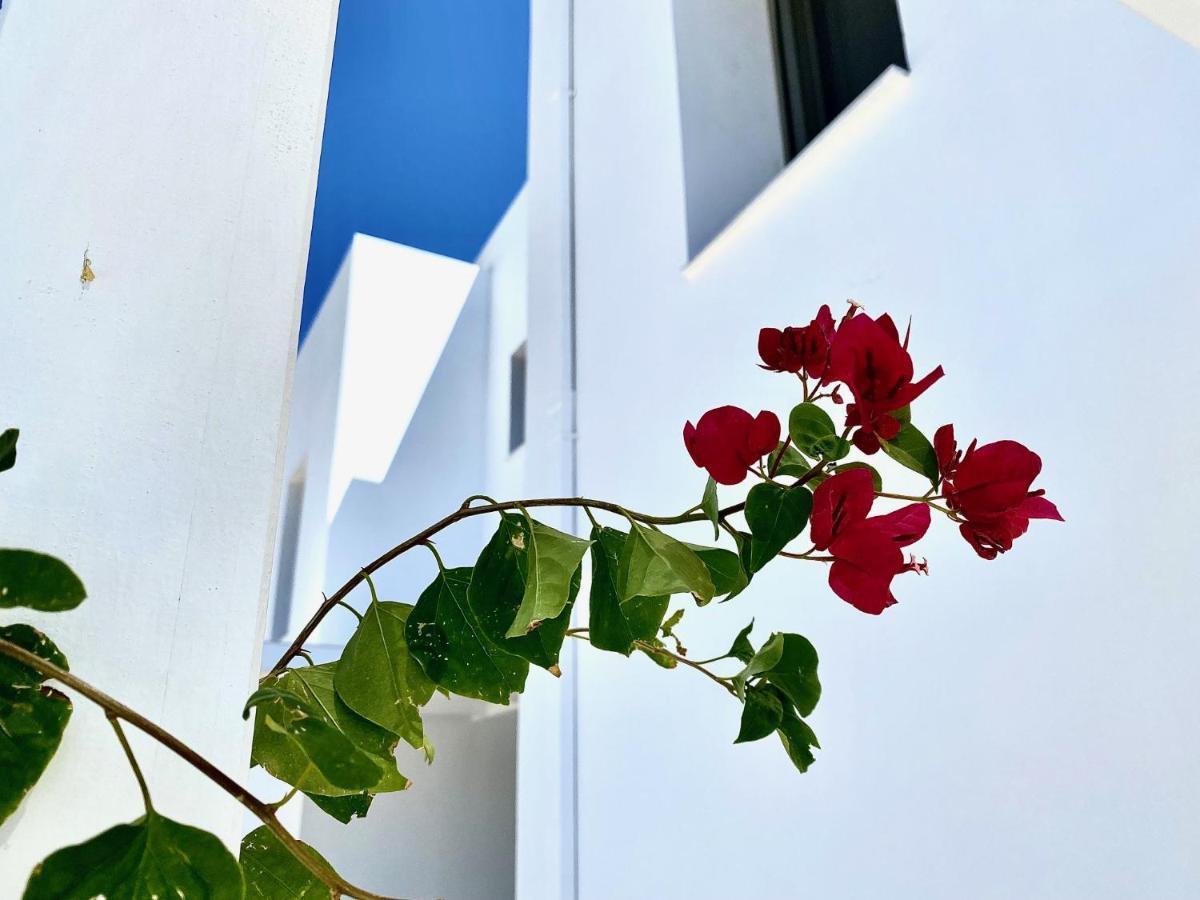 Gennadi Harmony Suites - 200 M From The Sea ภายนอก รูปภาพ